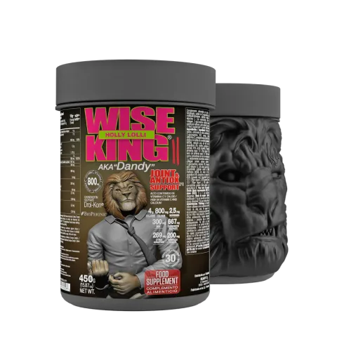 Zoomad Labs Wise King – Joint & Antiox Support 450g